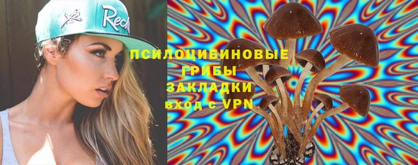 дмт Верхний Тагил