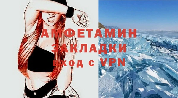 дживик Бородино
